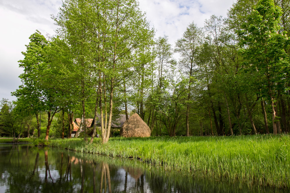 Ferienhaus Spreewald mieten